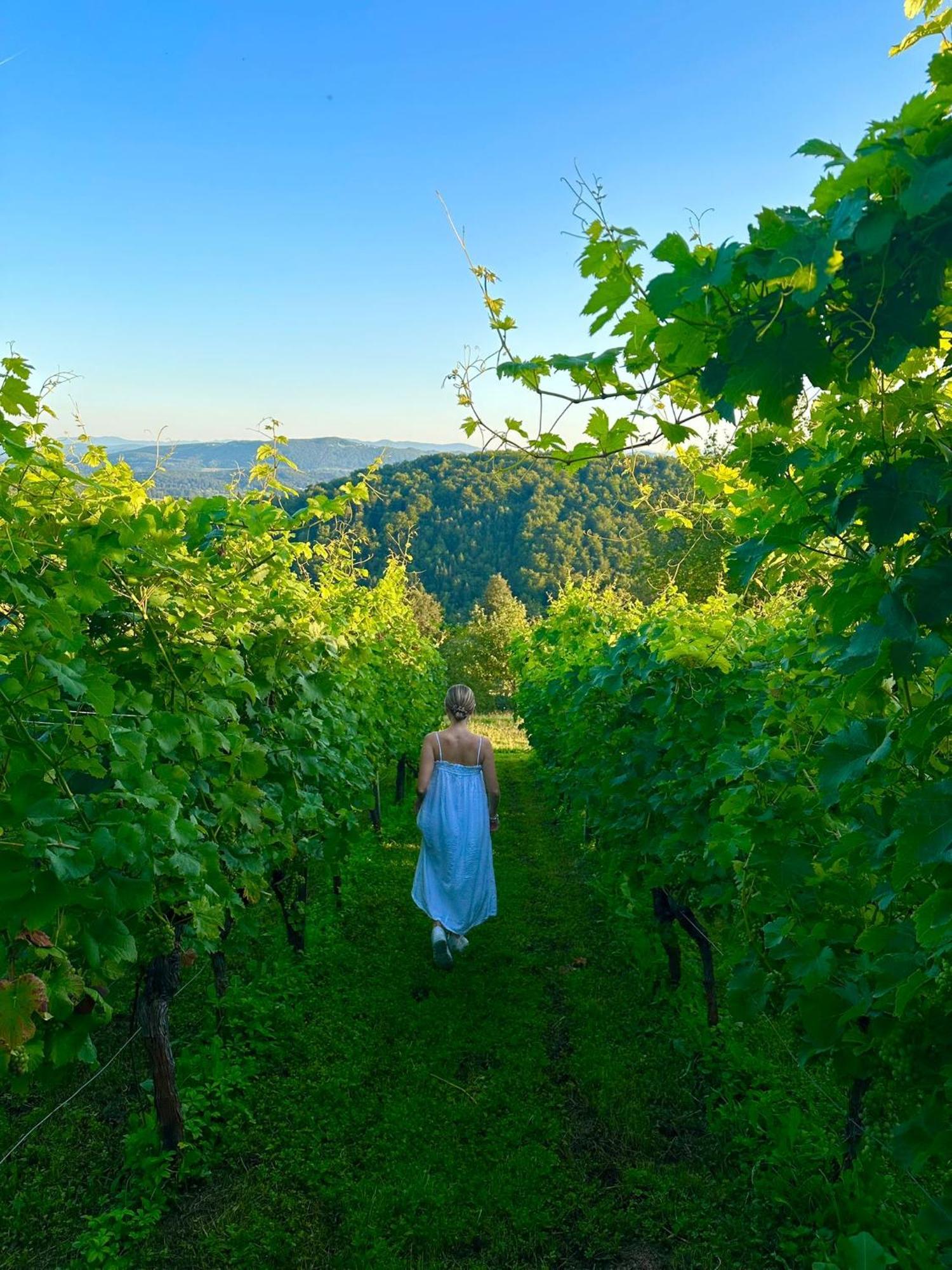 Zerko Holiday Home - Vineyard Chalet With Sauna And Jacuzzi Free Mirna Luaran gambar