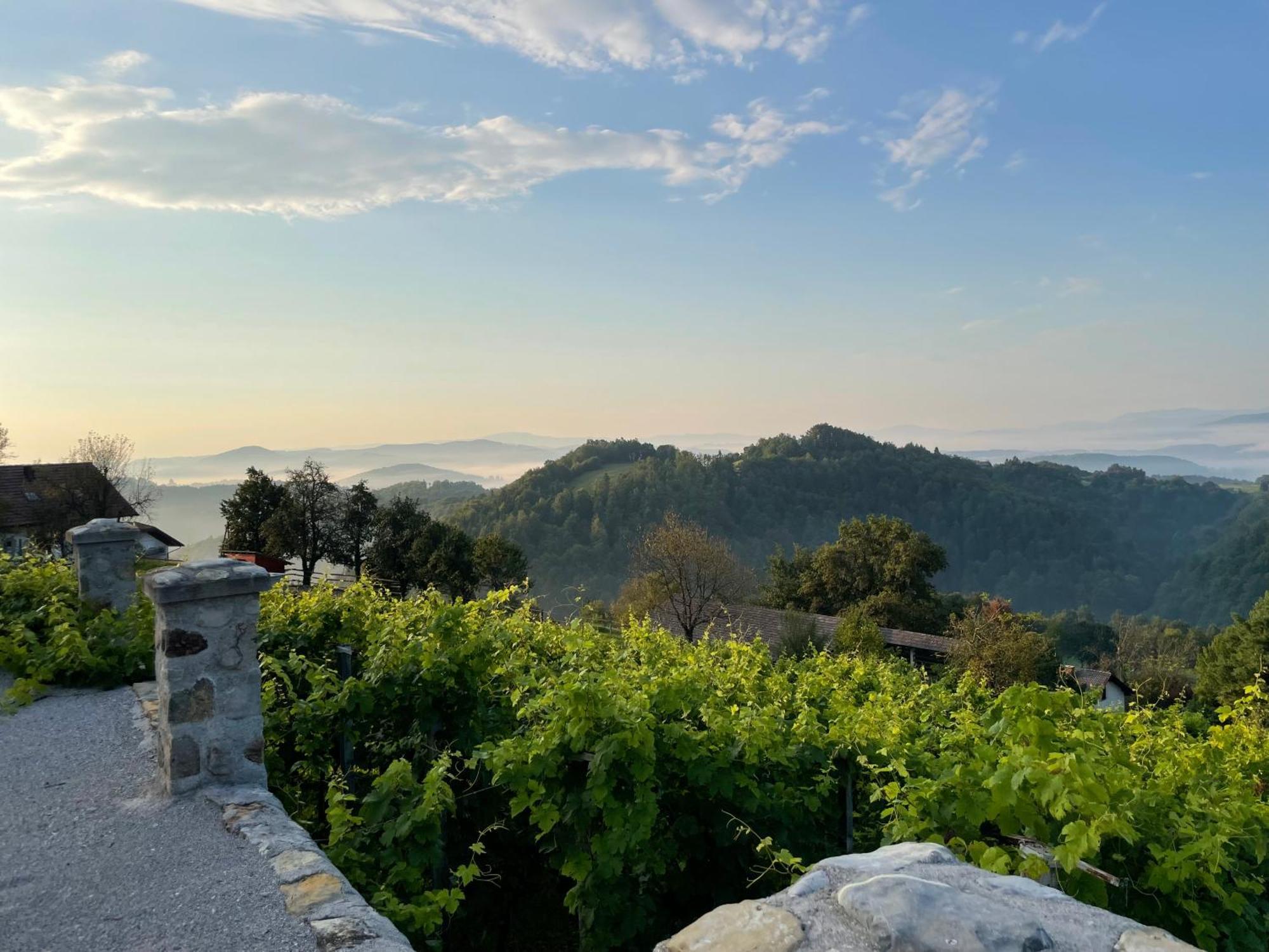 Zerko Holiday Home - Vineyard Chalet With Sauna And Jacuzzi Free Mirna Luaran gambar