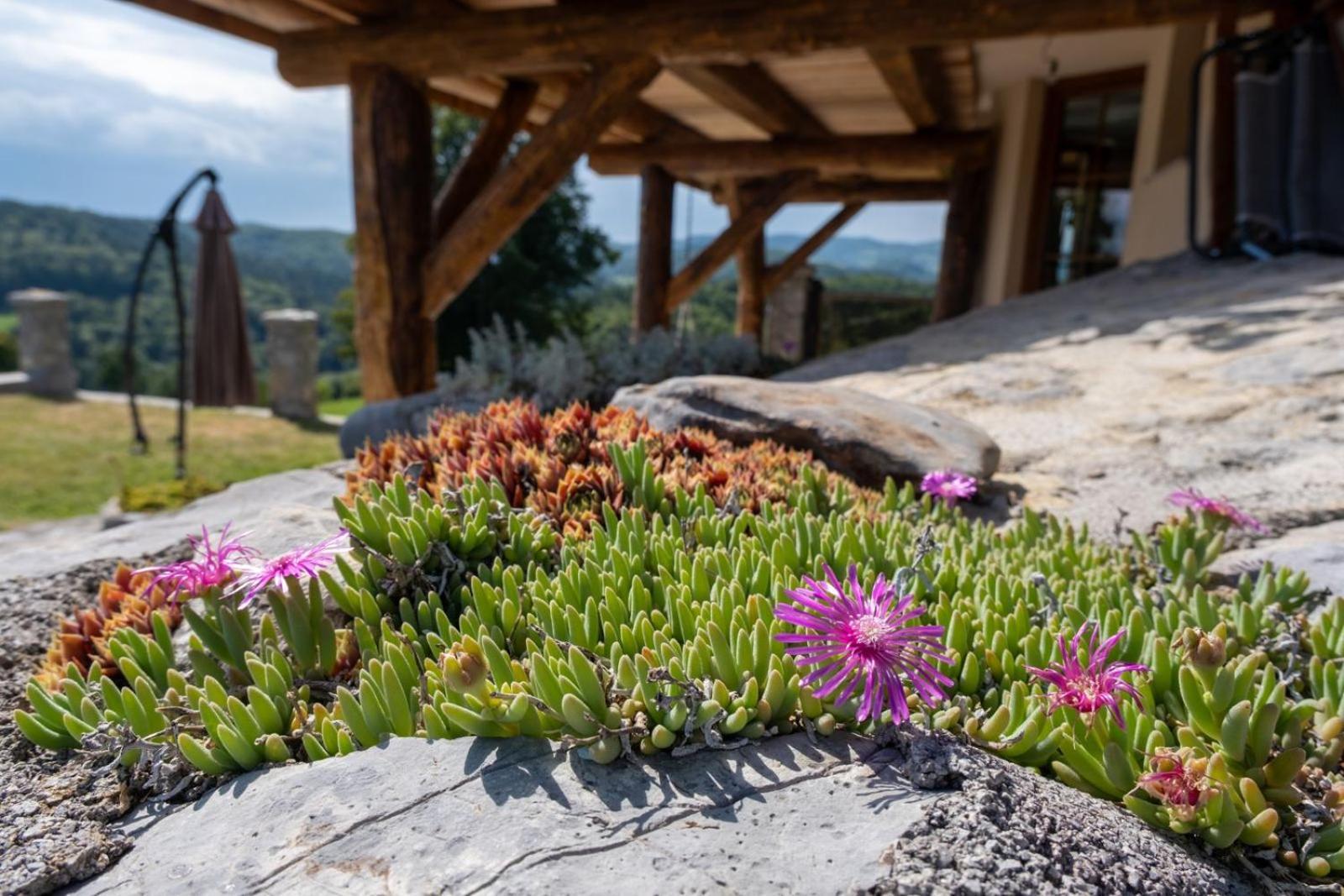 Zerko Holiday Home - Vineyard Chalet With Sauna And Jacuzzi Free Mirna Luaran gambar